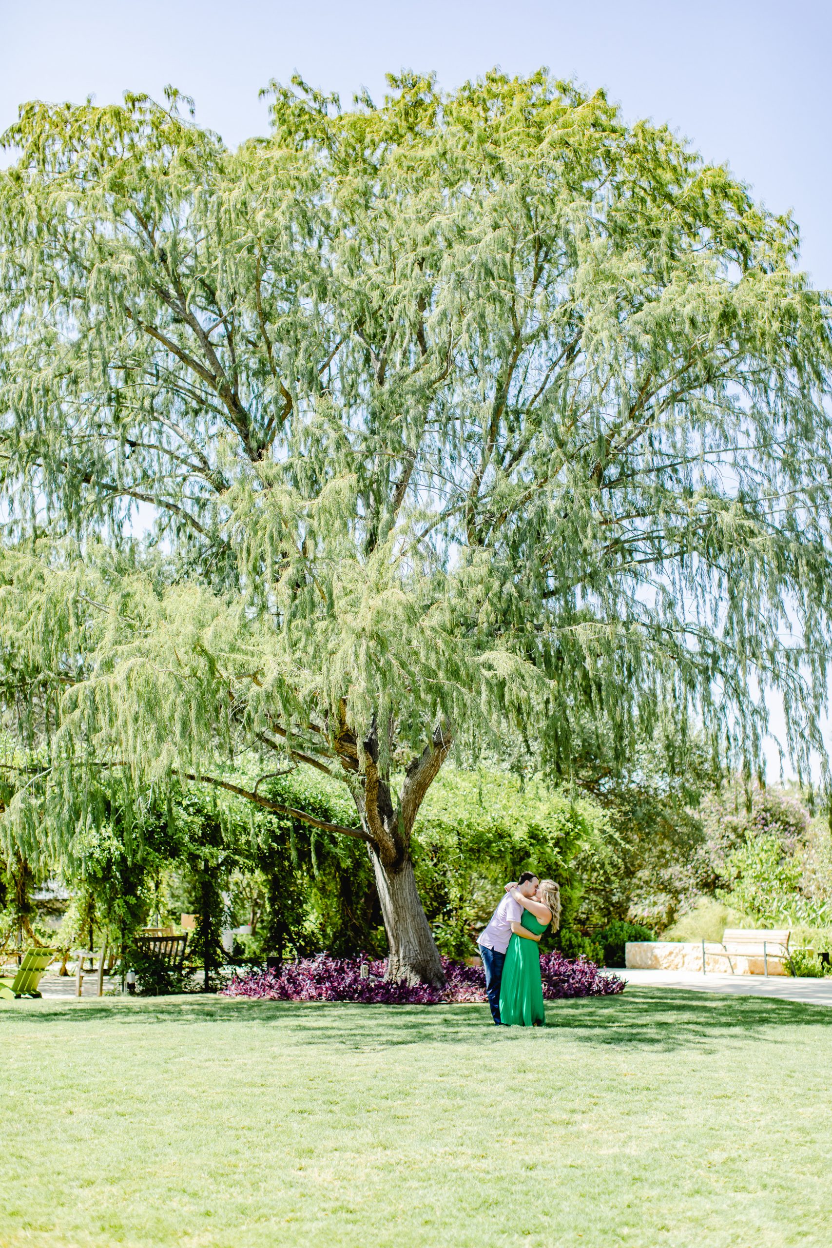 Willow Tree at Engagement Session