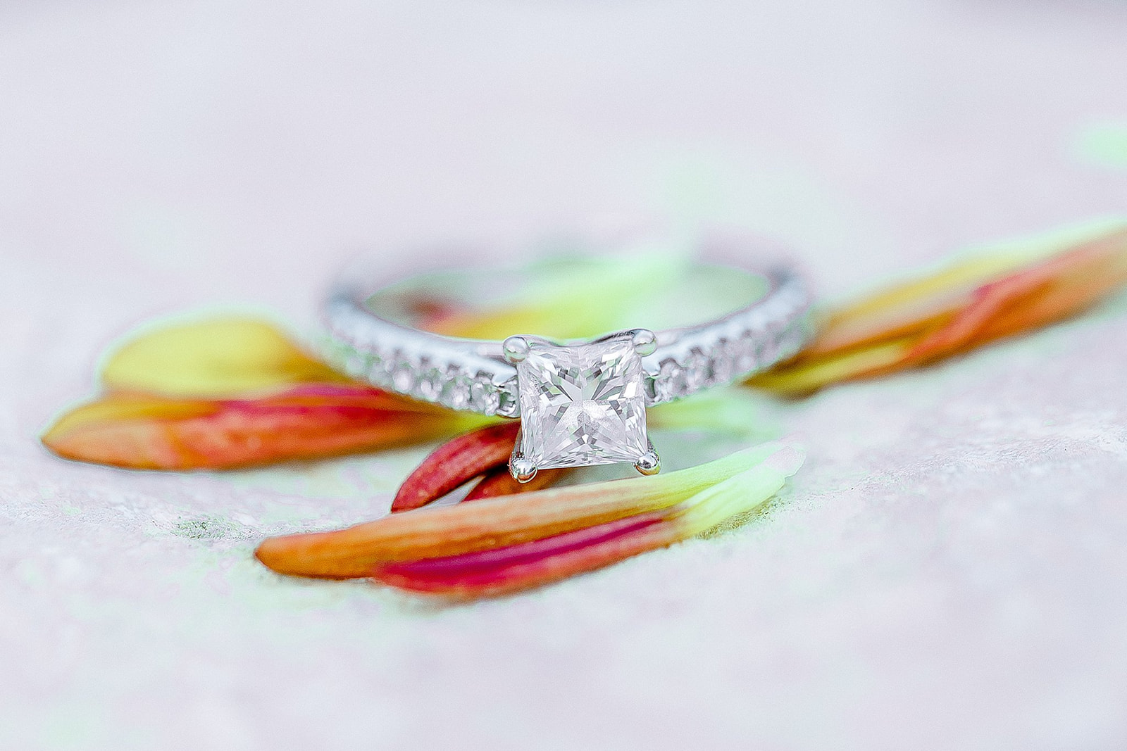 Unique Engagement Ring, Gricelda's Photography, Texas Wedding Photographer